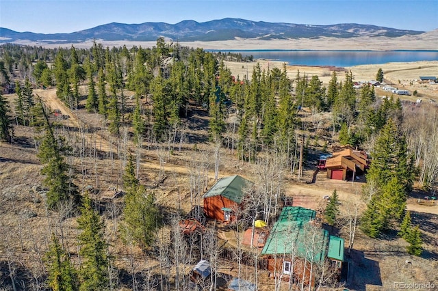 158 Brook Dr, Lake George, CO 80827 - photo 27