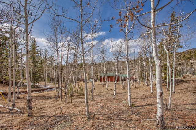158 Brook Dr, Lake George, CO 80827 - photo 30