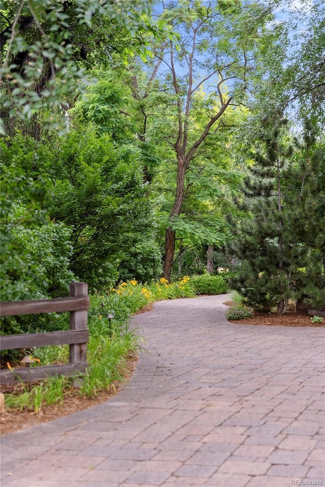 surrounding community featuring driveway