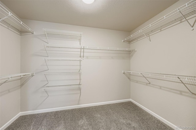 4245 Prairie Rose Cir, Castle Rock, CO 80109 - photo 18