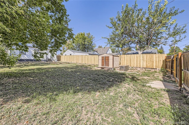 view of yard with a storage unit