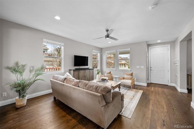 living area featuring dark wood finished floors, plenty of natural light, and baseboards