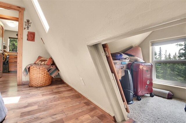 58 Goldfinch Pl, Alma, CO 80420 - photo 23