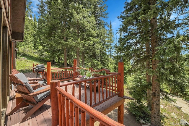 58 Goldfinch Pl, Alma, CO 80420 - photo 29