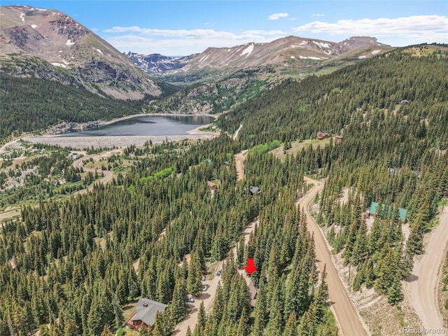 58 Goldfinch Pl, Alma, CO 80420 - photo 34