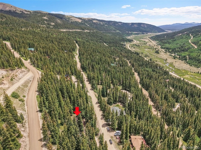 58 Goldfinch Pl, Alma, CO 80420 - photo 35