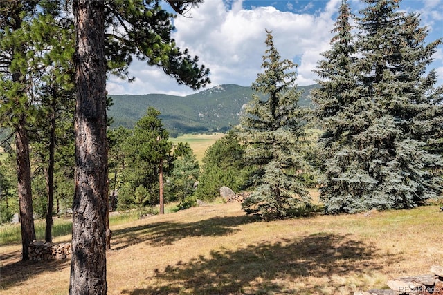 2529 Medinah Dr, Evergreen, CO 80439 - photo 9