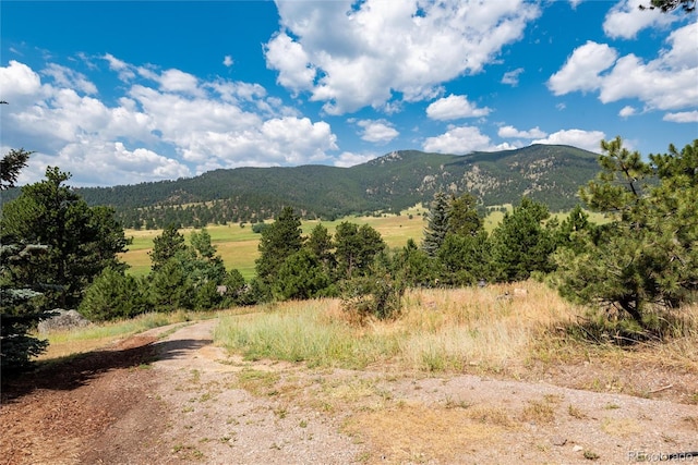 2529 Medinah Dr, Evergreen, CO 80439 - photo 10