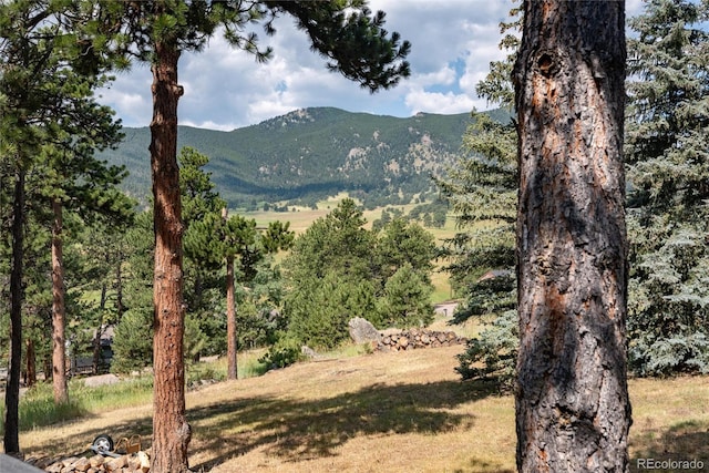 2529 Medinah Dr, Evergreen, CO 80439 - photo 46