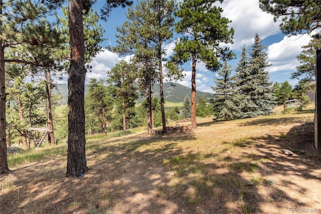 2529 Medinah Dr, Evergreen, CO 80439 - photo 47