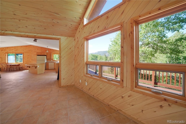 270 River Run Dr, Antonito, CO 81120 - unfurnished living room with lofted ceiling and wood walls