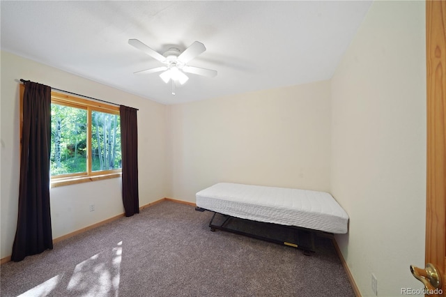 270 River Run Dr, Antonito, CO 81120 - carpeted bedroom featuring baseboards and a ceiling fan