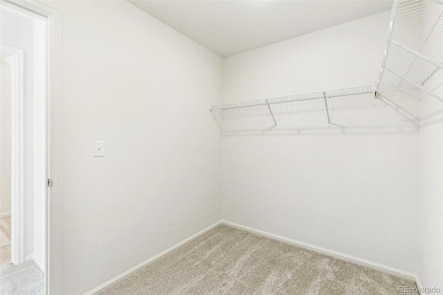 spacious closet featuring light colored carpet