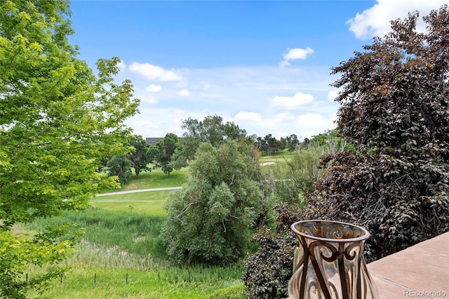7882 Vallagio Ln, Englewood, CO 80112 - view of yard