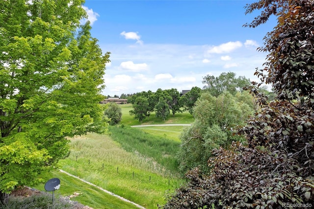 7882 Vallagio Ln, Englewood, CO 80112 - view of local wilderness