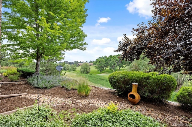 7882 Vallagio Ln, Englewood, CO 80112 - view of yard