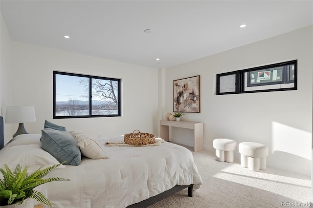 1727 Lowell Blvd, Denver, CO 80204 - photo 1
