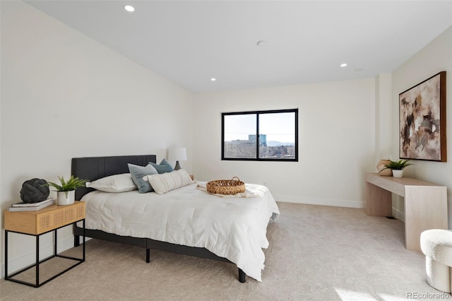 1727 Lowell Blvd, Denver, CO 80204 - photo 18