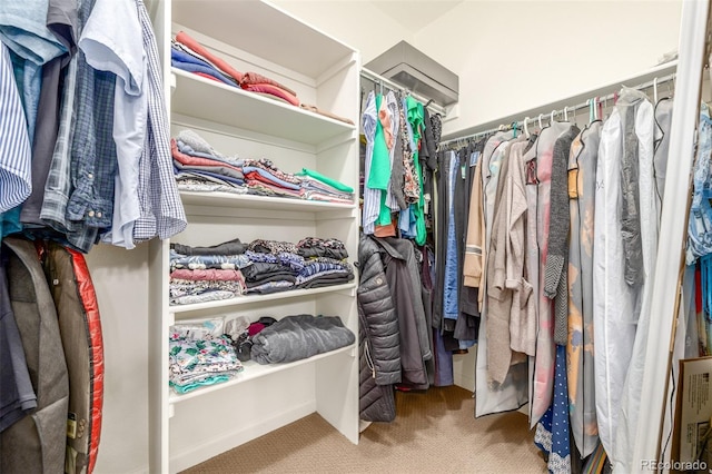 spacious closet featuring carpet