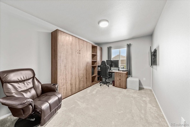 3674 Ronald Reagan Ave, Wellington, CO 80549 - office featuring light carpet, baseboards, and a textured ceiling