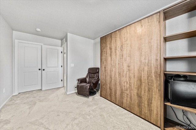 3674 Ronald Reagan Ave, Wellington, CO 80549 - unfurnished room with carpet flooring and baseboards