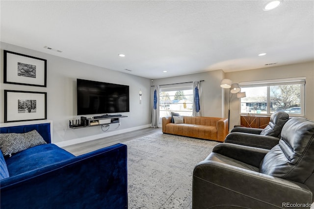 living room featuring wood-type flooring