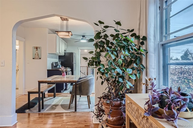 dining room featuring light hardwood / wood-style floors and ceiling fan