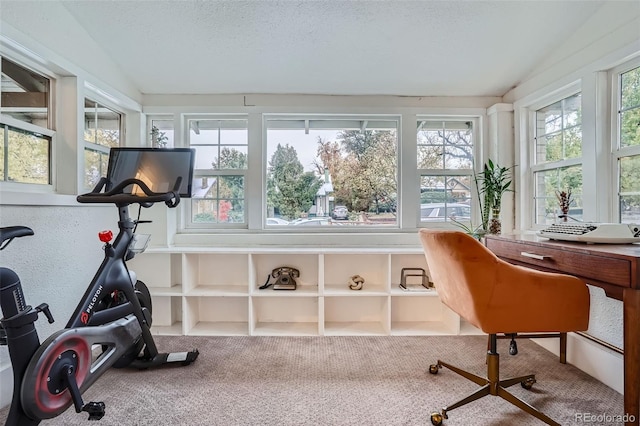 sunroom with vaulted ceiling and plenty of natural light