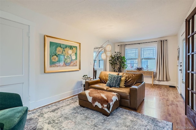 living room featuring light hardwood / wood-style floors