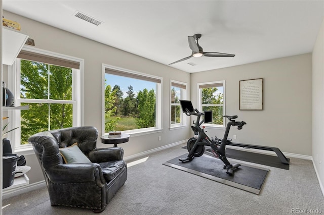 228 Maplehurst Pt, Highlands Ranch, CO 80126 - photo 26