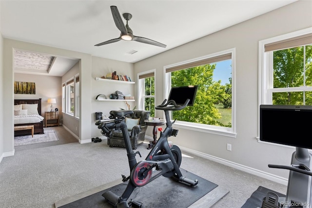 228 Maplehurst Pt, Highlands Ranch, CO 80126 - photo 27