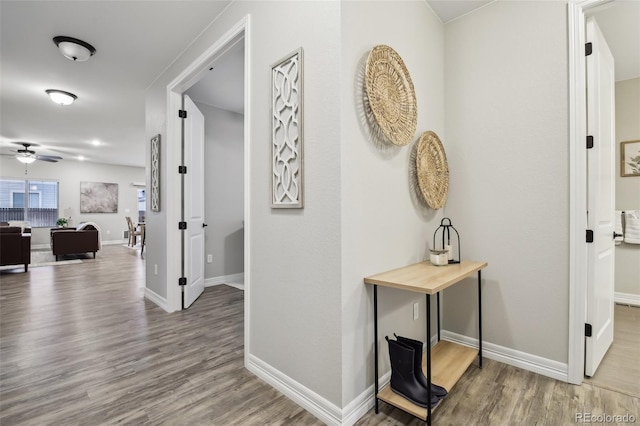 2328 Saddle Back Ct, Fort Lupton, CO 80621 - corridor with wood finished floors and baseboards