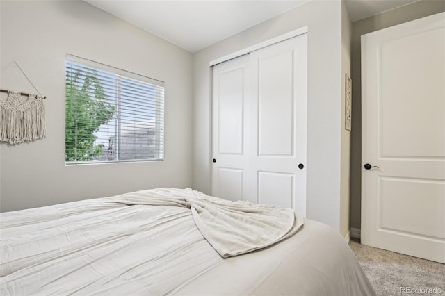 2328 Saddle Back Ct, Fort Lupton, CO 80621 - carpeted bedroom featuring a closet