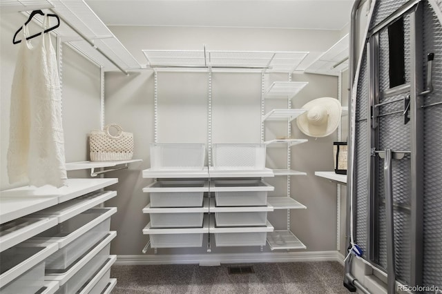 2328 Saddle Back Ct, Fort Lupton, CO 80621 - walk in closet with carpet