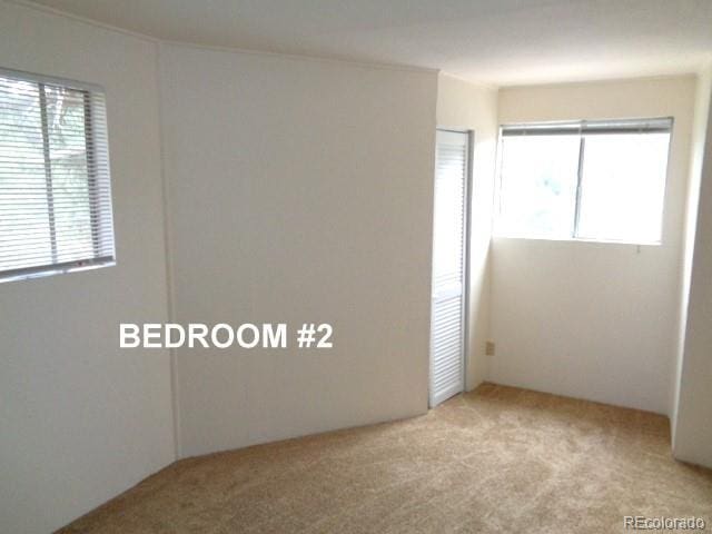 28127 Knowles Rd Unit A, B, & C, Evergreen, CO 80439 - view of carpeted empty room
