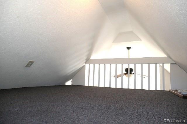 28127 Knowles Rd Unit A, B, & C, Evergreen, CO 80439 - detailed view of carpet flooring