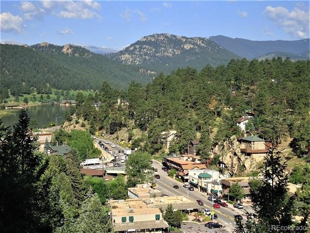 28127 Knowles Rd Unit A, B, & C, Evergreen, CO 80439 - view of mountain background featuring a forest