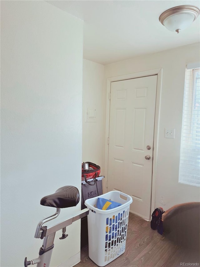 playroom with wood-type flooring