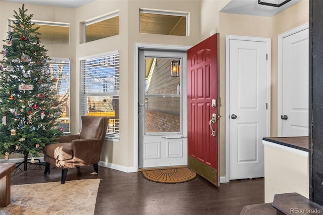 entrance foyer featuring dark hardwood / wood-style flooring