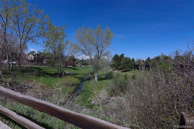 9867 W Berry Dr, Littleton, CO 80123 - view of yard