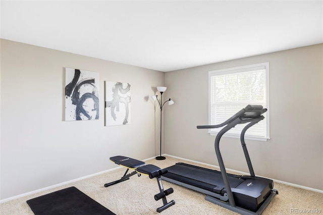 9867 W Berry Dr, Littleton, CO 80123 - exercise area featuring carpet and baseboards