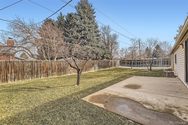 view of yard with a patio and a fenced backyard