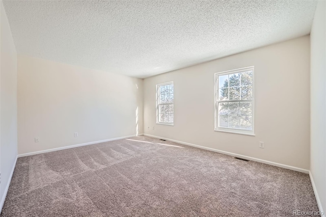 unfurnished room with carpet and a textured ceiling