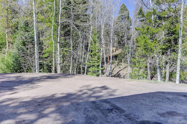 view of nature featuring a wooded view