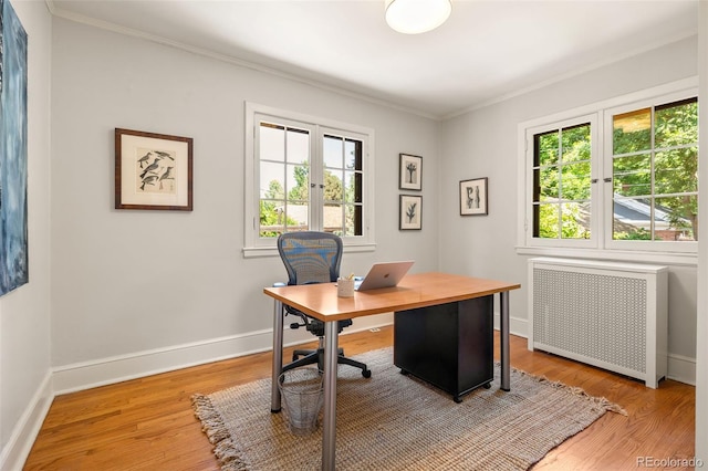 810 Milwaukee St, Denver, CO 80206 - office area with radiator, ornamental molding, healthy amount of natural light, and light wood-style floors