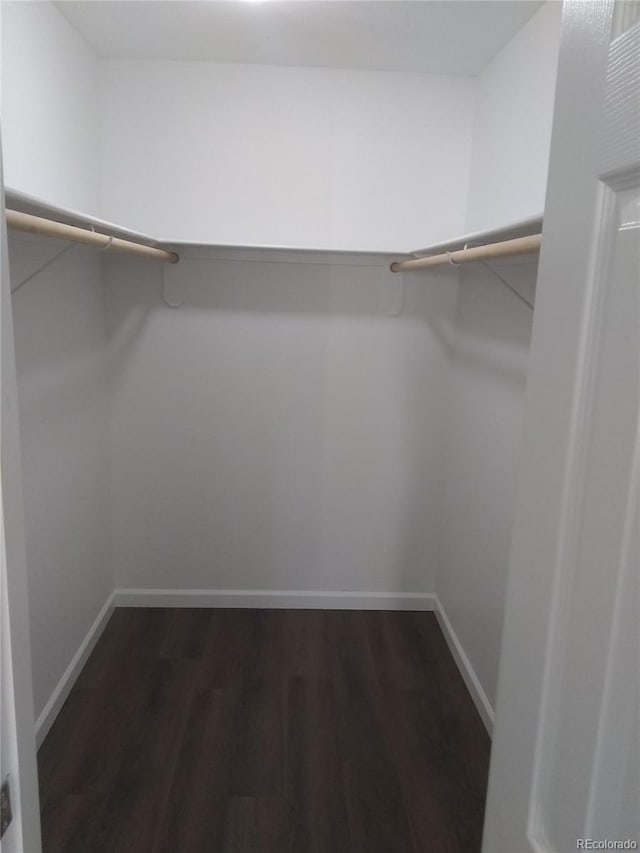 walk in closet with dark hardwood / wood-style floors