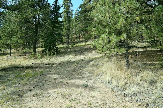 188 Brown St, Bailey, CO 80421 - photo 1