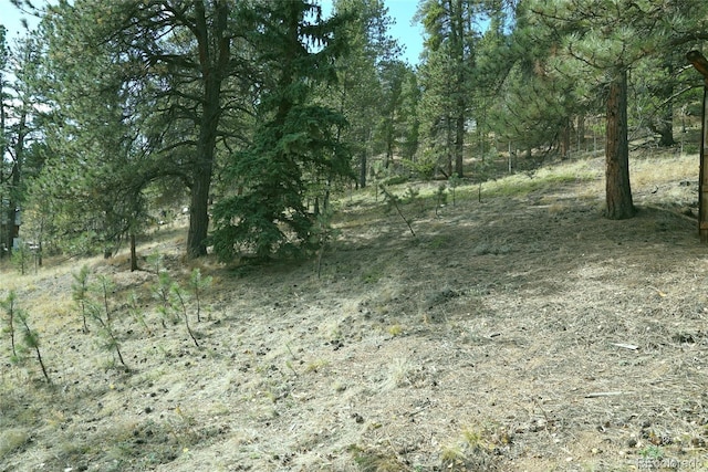 188 Brown St, Bailey, CO 80421 - photo 2