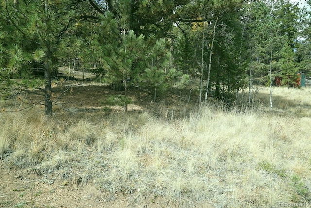 188 Brown St, Bailey, CO 80421 - photo 3