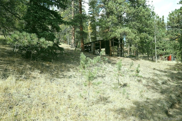 188 Brown St, Bailey, CO 80421 - photo 4
